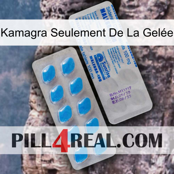 Kamagra Seulement De La Gelée new15.jpg